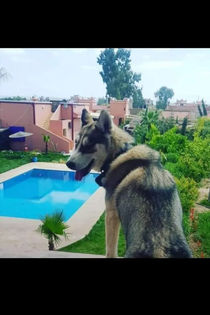 Ferme Hind , Magnifique Ferme Avec Grande Piscine Et Un Jardin Splendide Villa Marrakesh
